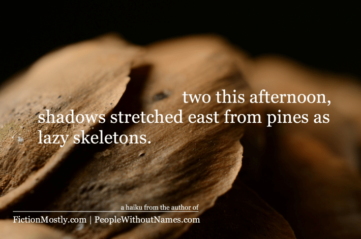 a close-up of a pine cone with a haiku written over it